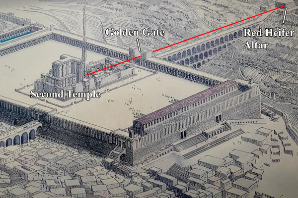 Temple axis